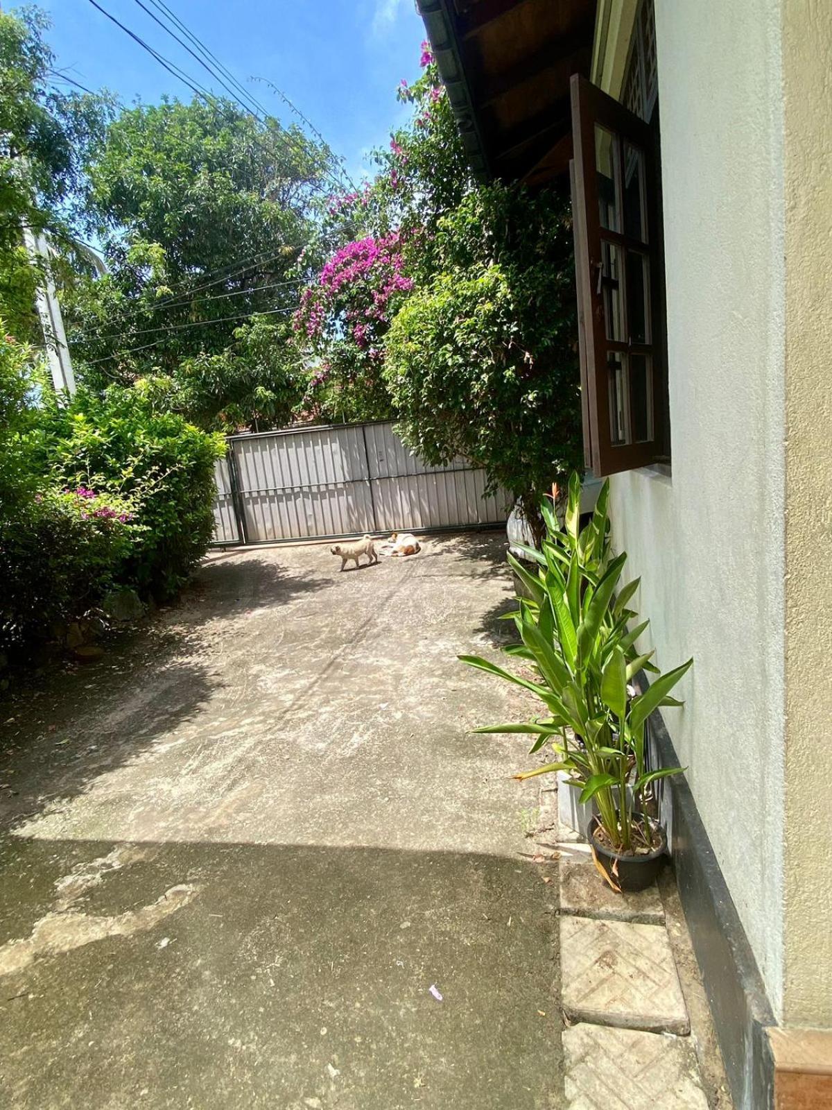 Noahs Ark Transit Stay Moratuwa Bagian luar foto
